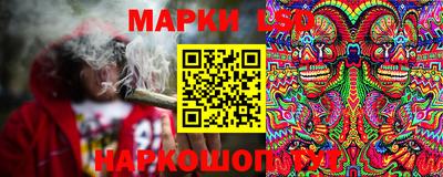 молекула духа Донской