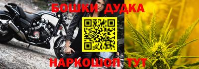 молекула духа Донской