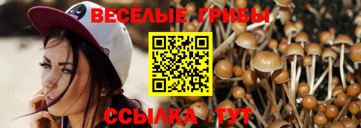 Галлюциногенные грибы прущие грибы Мелеуз